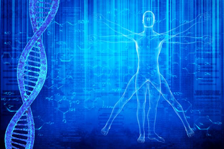 Vitruvian Man and Double Helix
