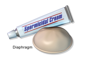 Diaphragm