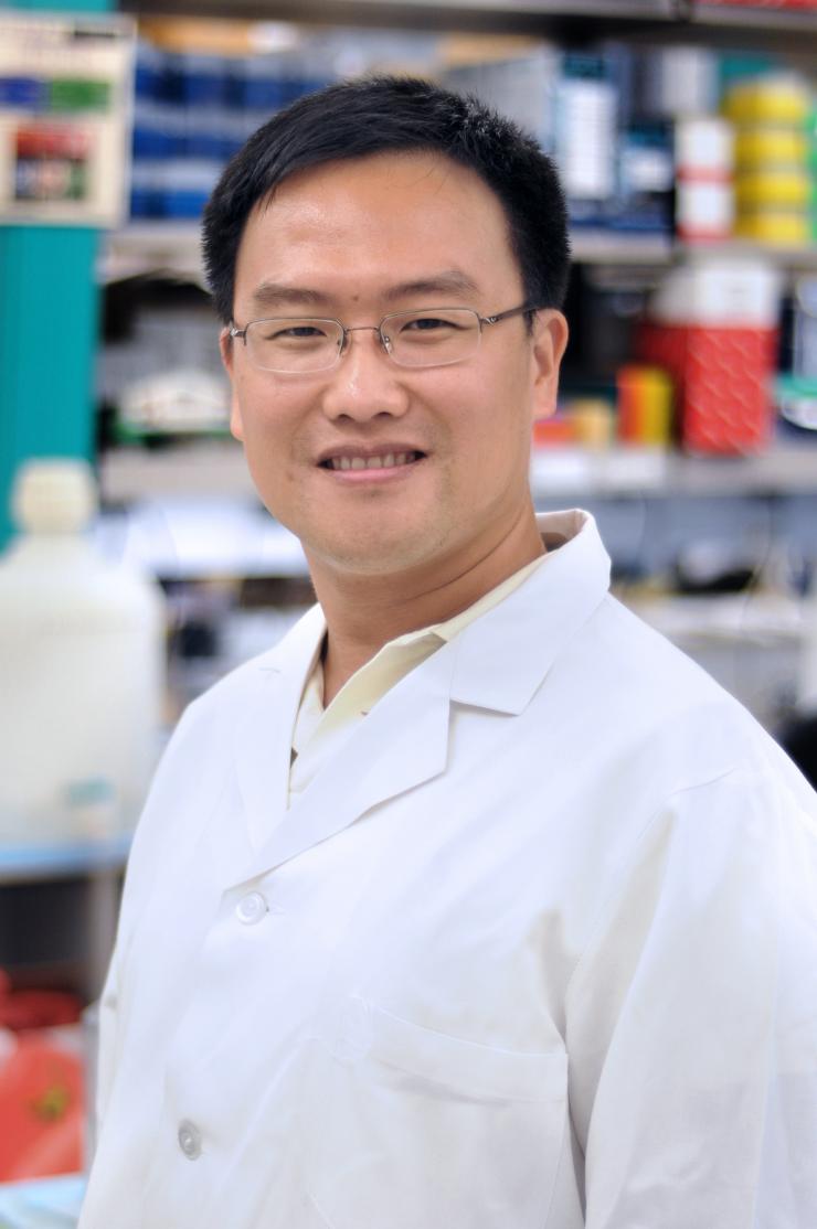 Xiang "Shawn" Zhang, Ph.D.